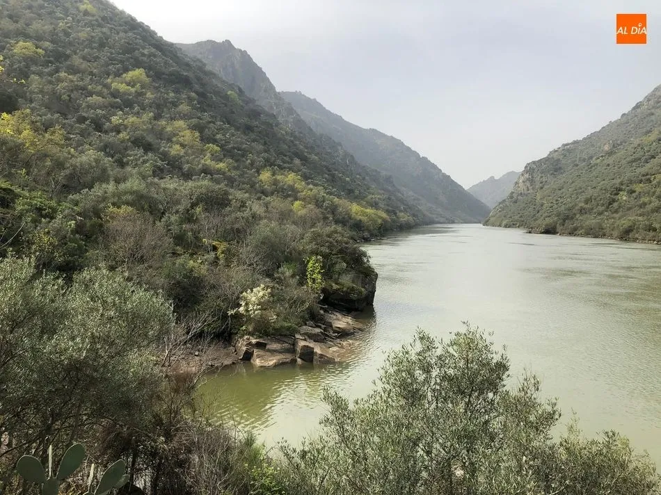 Foto 5 - El Ayuntamiento de Mieza acerca el ca&ntilde;&oacute;n del r&iacute;o Duero a los senderistas tras adecentar el...