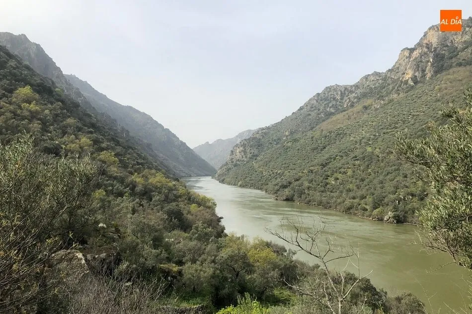Foto 4 - El Ayuntamiento de Mieza acerca el ca&ntilde;&oacute;n del r&iacute;o Duero a los senderistas tras adecentar el...