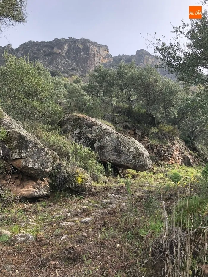 Foto 2 - El Ayuntamiento de Mieza acerca el ca&ntilde;&oacute;n del r&iacute;o Duero a los senderistas tras adecentar el...