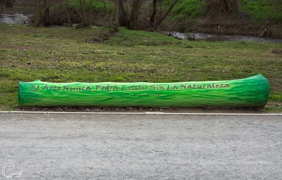Las sabiduría del árbol que fue