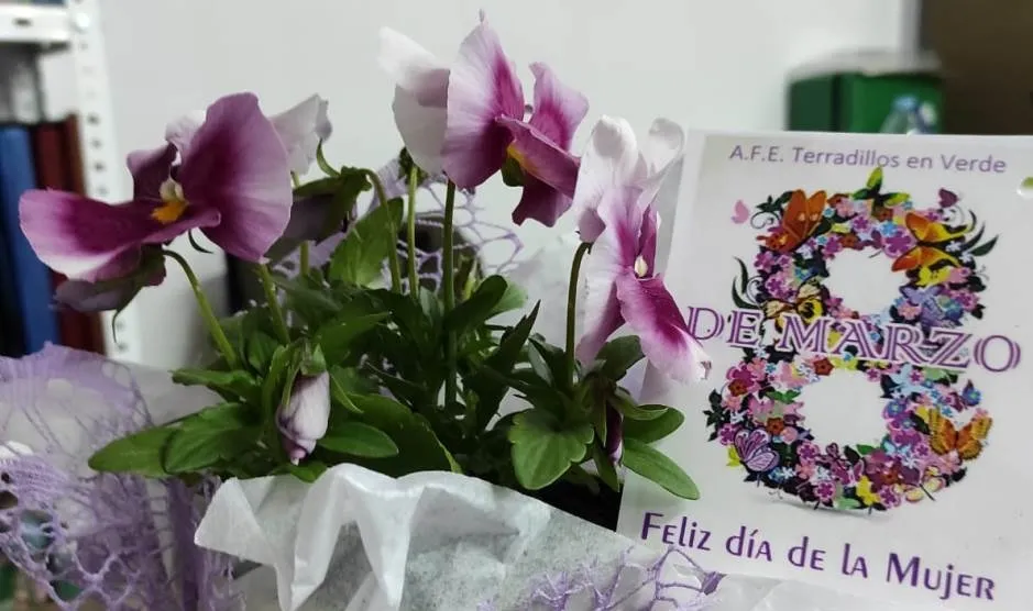 Foto 2 - Terradillos celebra el D&iacute;a de la Mujer con flores y un gran lazo morado
