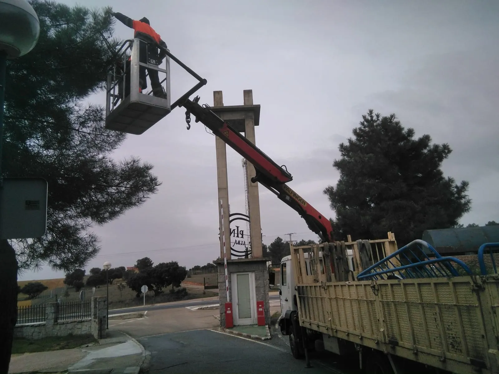 Tareas de prevención y control de la procesionaria del pino