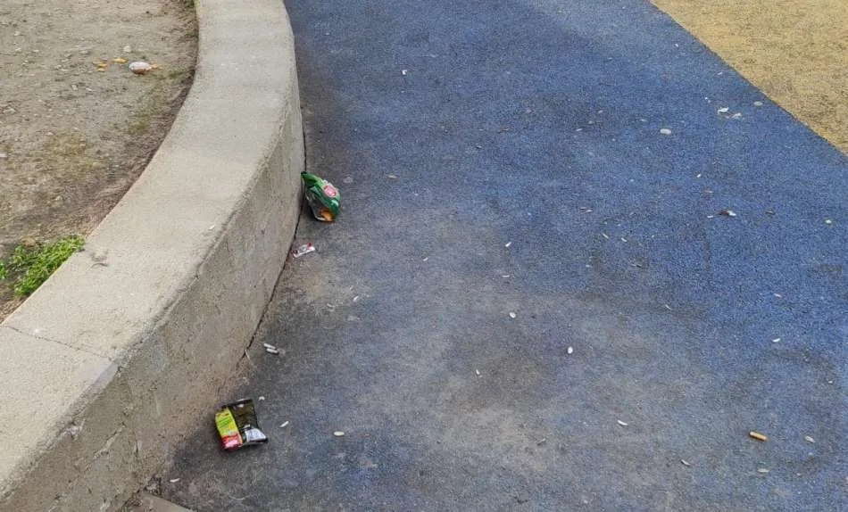 Foto 4 - Malestar por la suciedad de la zona infantil del Parque de La Florida  