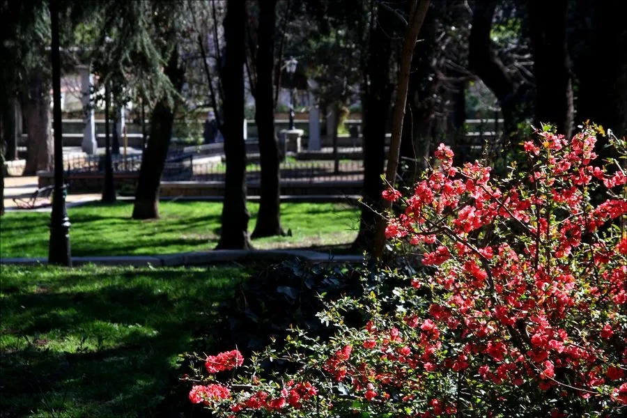 Parque de San Francisco. Foto de José Amador Martín