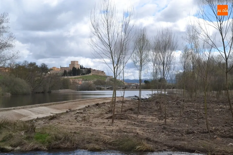 Realizada una limpieza en la zona del Paraje que no satisface ni a Riberas del Águeda ni al...