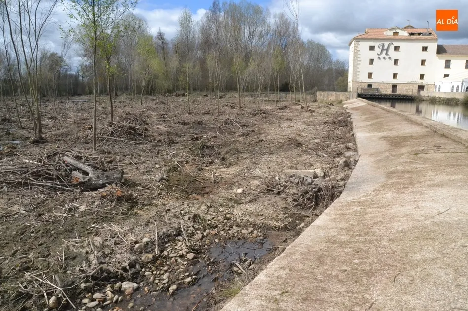 Foto 8 - Realizada una limpieza en la zona del Paraje que no satisface ni a Riberas del &Aacute;gueda ni al...