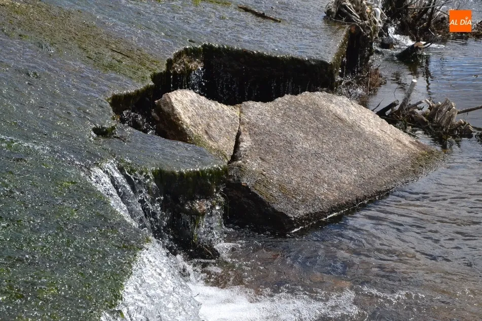 Foto 5 - Realizada una limpieza en la zona del Paraje que no satisface ni a Riberas del &Aacute;gueda ni al...