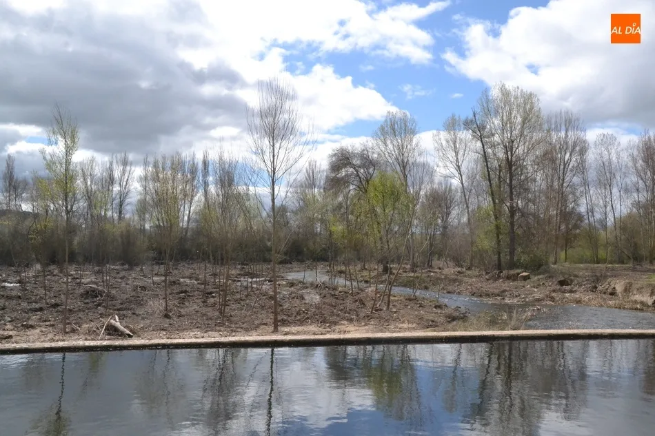 Foto 4 - Realizada una limpieza en la zona del Paraje que no satisface ni a Riberas del &Aacute;gueda ni al...