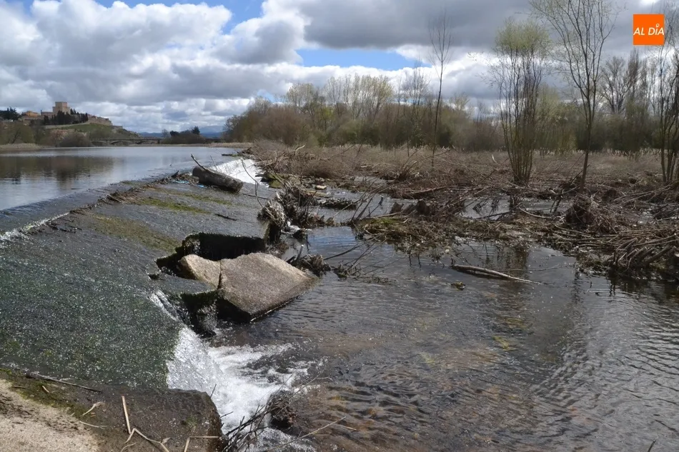 Foto 6 - Realizada una limpieza en la zona del Paraje que no satisface ni a Riberas del &Aacute;gueda ni al...