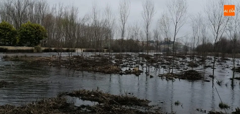 Foto 2 - Realizada una limpieza en la zona del Paraje que no satisface ni a Riberas del &Aacute;gueda ni al...