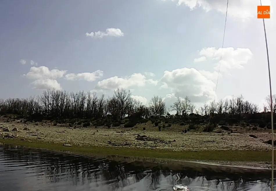 Foto 3 - Primeras carpas a mosca de la temporada 2021 en el embalse de Almendra  