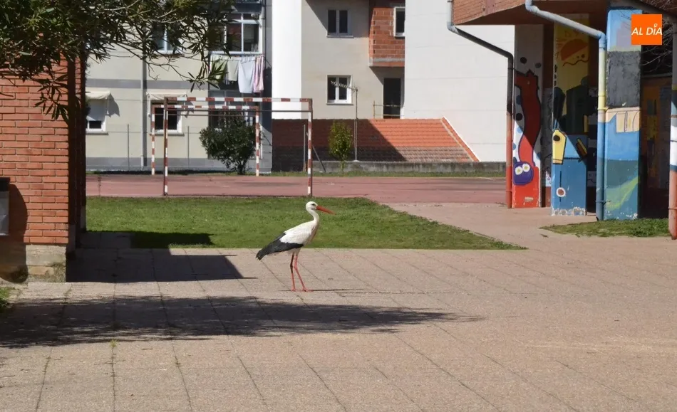 1Foto: Una invitada especial en plena jornada escolar  