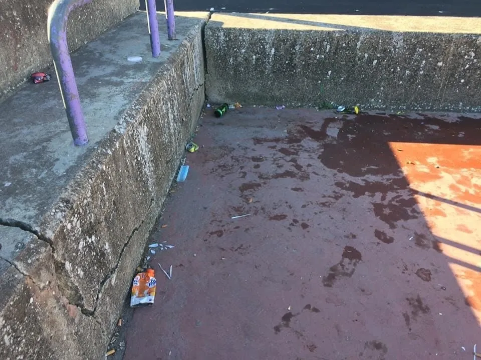 Foto 2 - Ciudadanos denuncia el mal estado que se presenta cada fin de semana en el entorno del colegio...