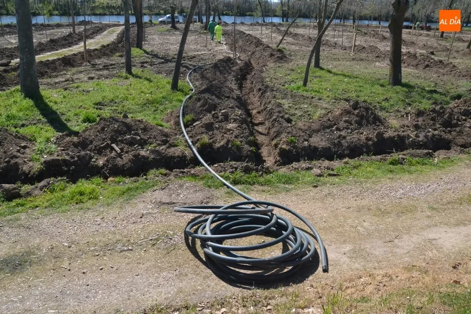 En marcha el despliegue del riego automático por el tramo en renovación de la Alameda Vieja  