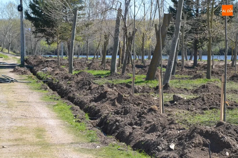 Foto 6 - En marcha el despliegue del riego autom&aacute;tico por el tramo en renovaci&oacute;n de la Alameda Vieja  