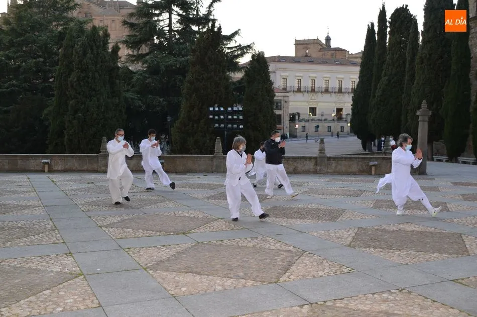 Foto 7 - Exhibici&oacute;n de artes marciales junto al Convento de San Esteban&nbsp;
