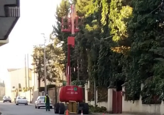 Poda de arboles denunciada por PeC en la Avenida Velázquez la