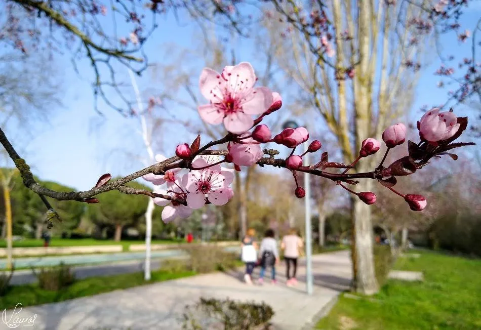 Llega la primavera