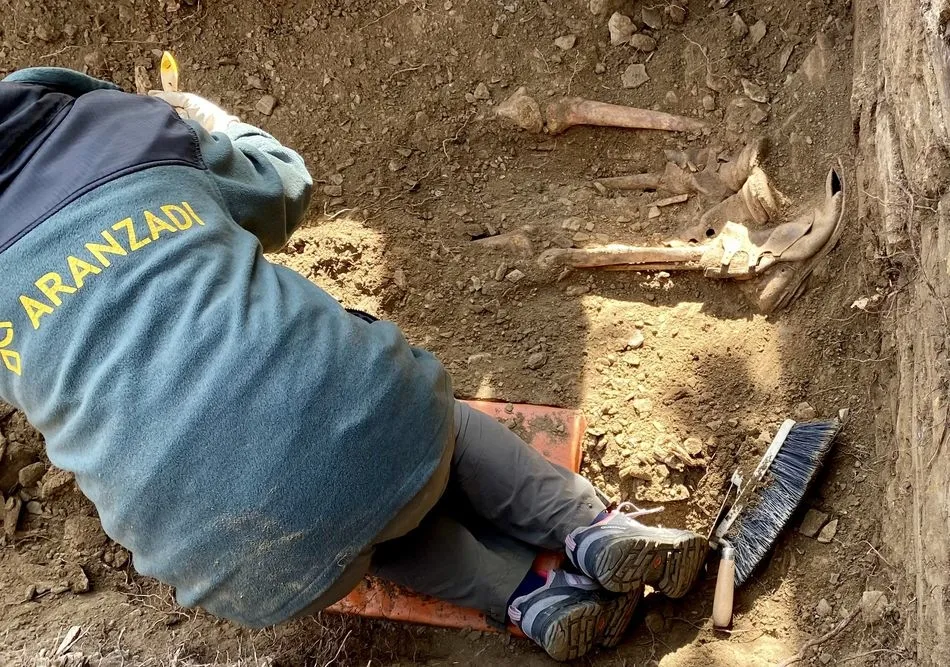 Trabajos de exhumación en esta fosa común en Castillejo de Martín Viejo 