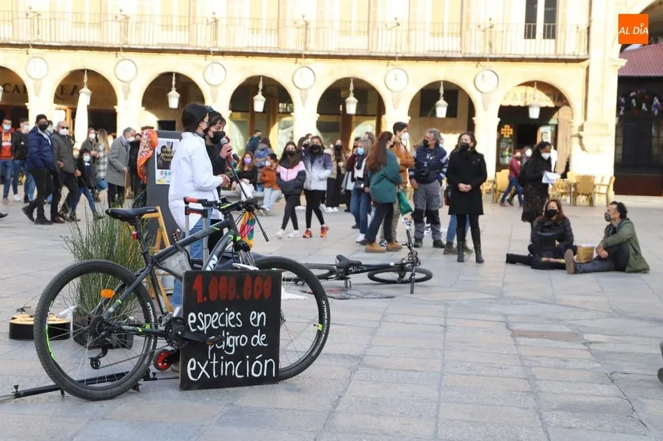 Foto 5 - Acto reivindicativo de Fridays For Future en la Plaza Mayor por el cuidado del planeta