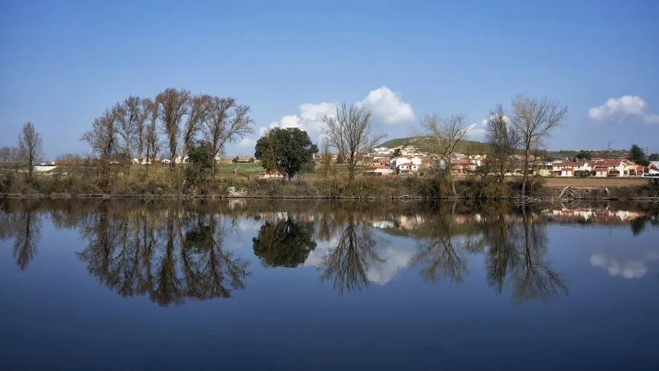 El reflejo que apacigua