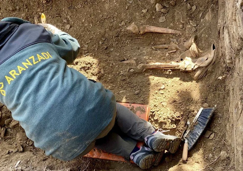 Hallados los primeros restos de los 7 asesinados que la ASMJ buscaba en Castillejo de Martín Viejo ...