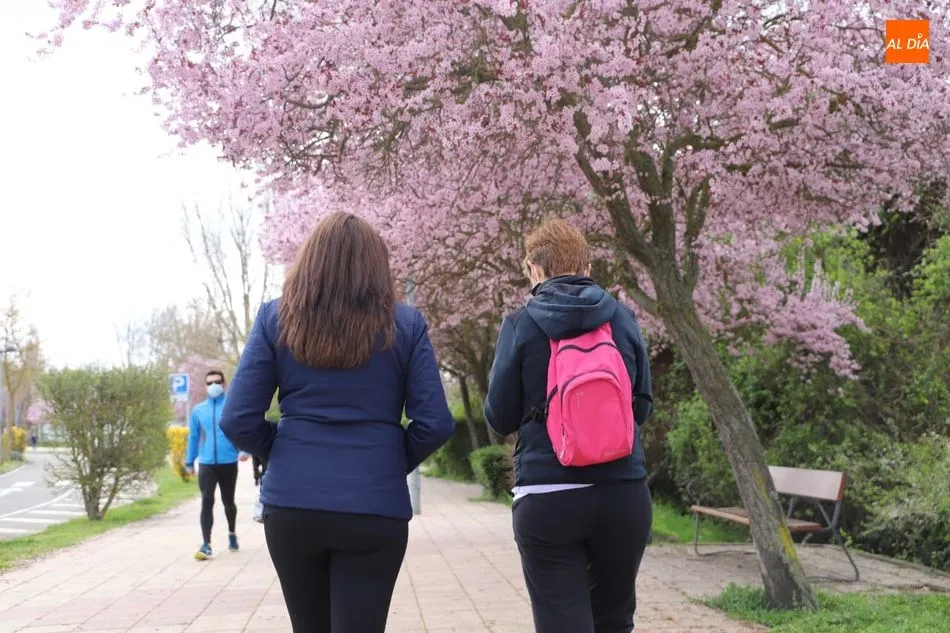 Almendros en flor ya muestran la cara primaveral de Salamanca - Lydia González