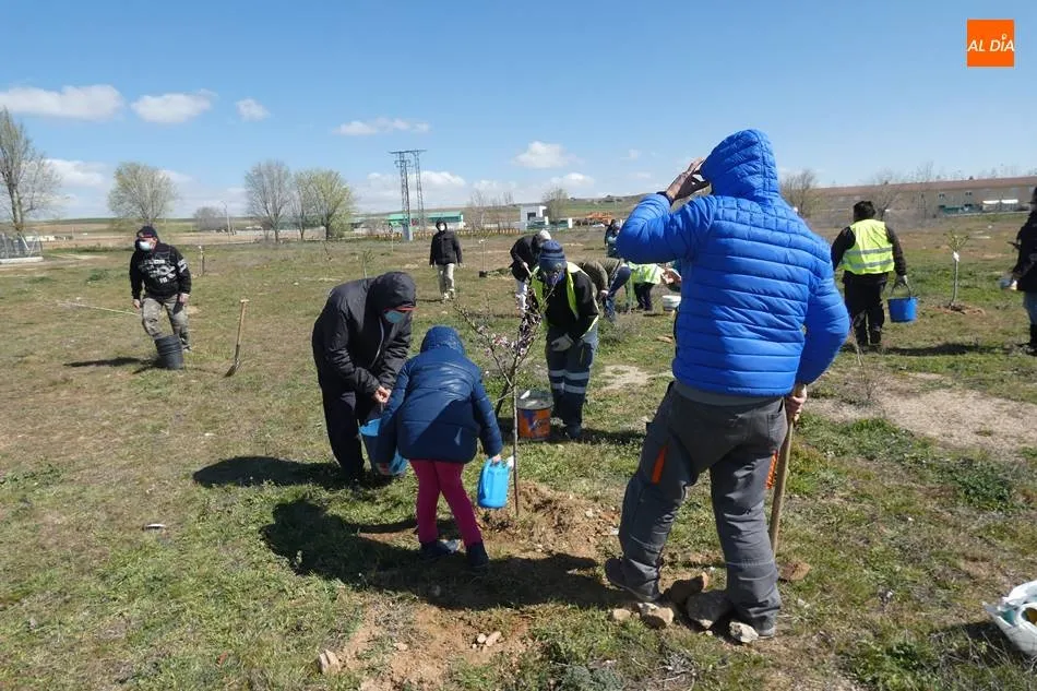 Foto 5 - Plantaci&oacute;n de &aacute;rboles para dar la bienvenida a la primavera  