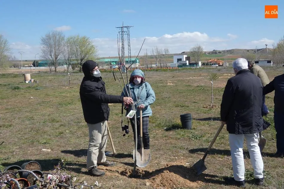 Foto 4 - Plantaci&oacute;n de &aacute;rboles para dar la bienvenida a la primavera  