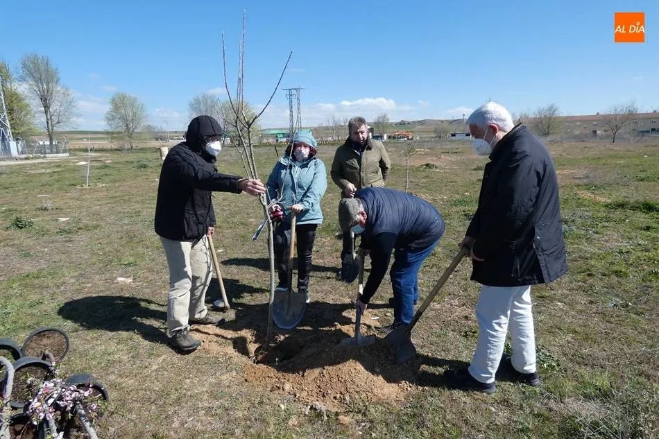 Plantación de arboles en Aldearrubia. | Jorge Holguera