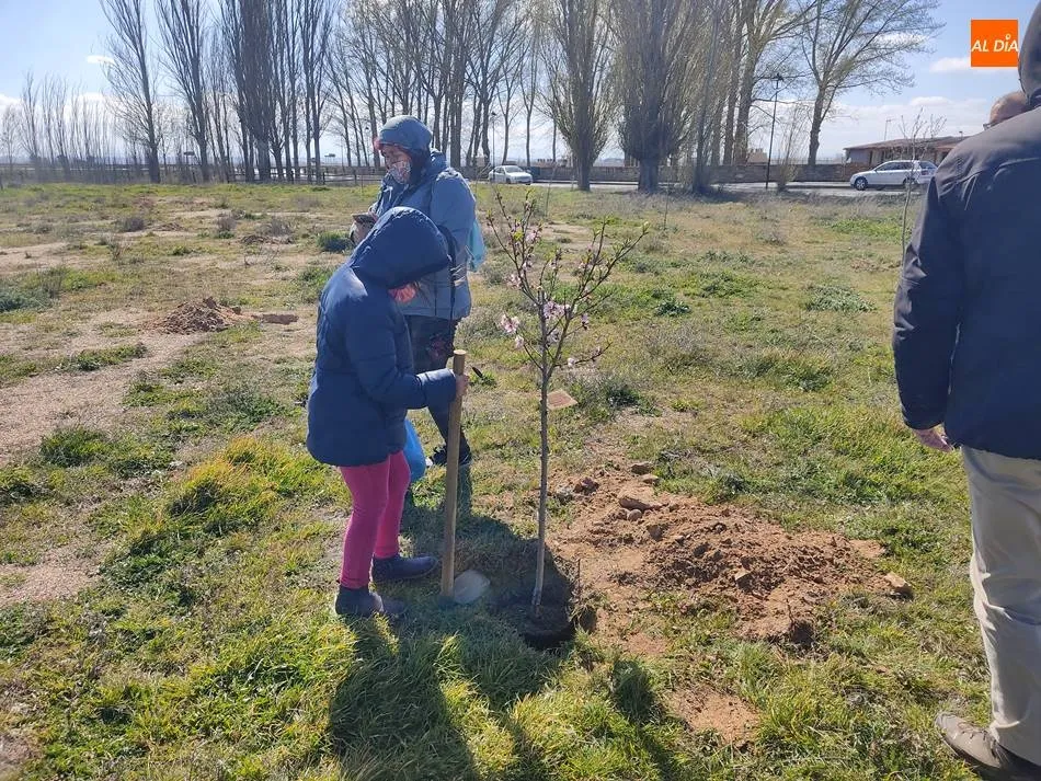 Foto 2 - Plantaci&oacute;n de &aacute;rboles para dar la bienvenida a la primavera  