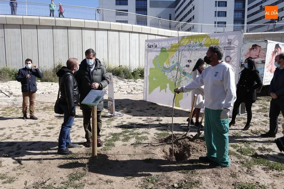 Foto 3 - Salamanca rinde homenaje a los profesionales que luchan contra la Covid-19 con el &lsquo;Bosque de los...