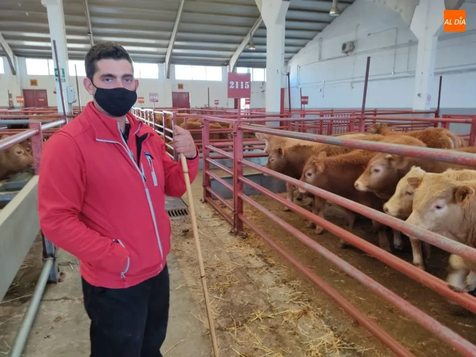 Alejandro Dominguez, ganadero de Montehermoso. | Jorge Holguera