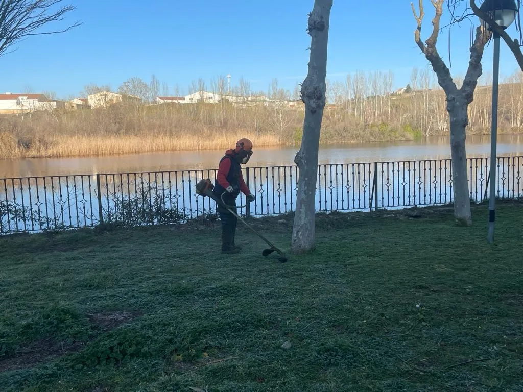 Foto 5 - Trabajos de mantenimiento en jardines y parques de la villa ducal, Torrej&oacute;n y Palomares de Alba  