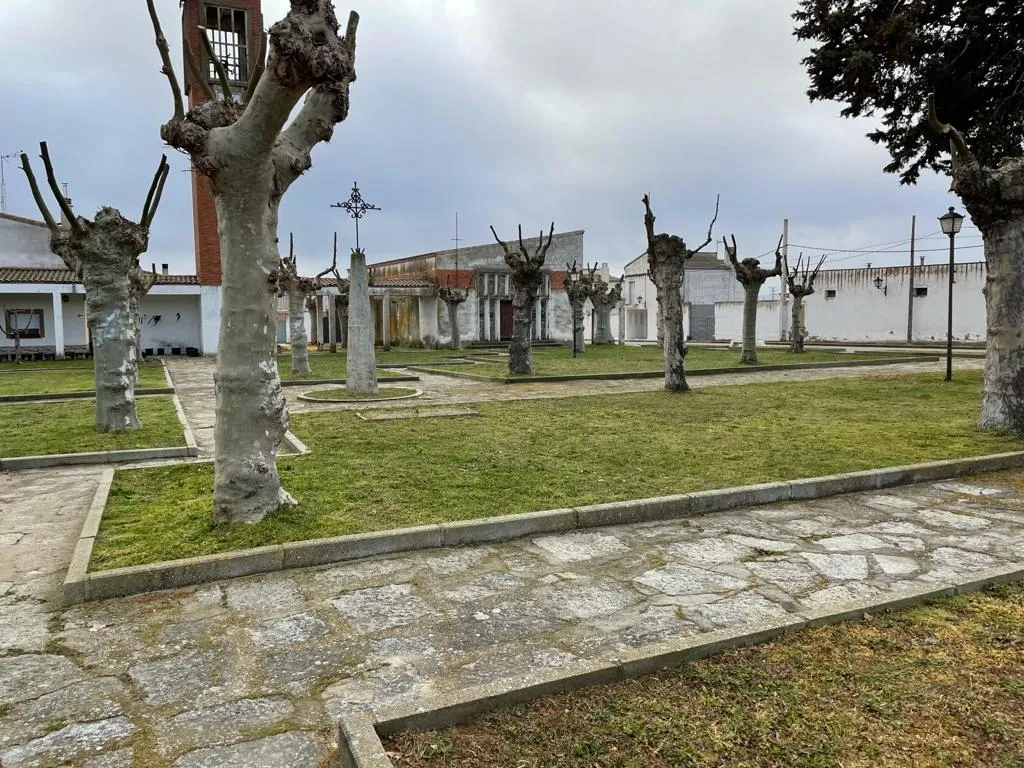 Foto 4 - Trabajos de mantenimiento en jardines y parques de la villa ducal, Torrej&oacute;n y Palomares de Alba  