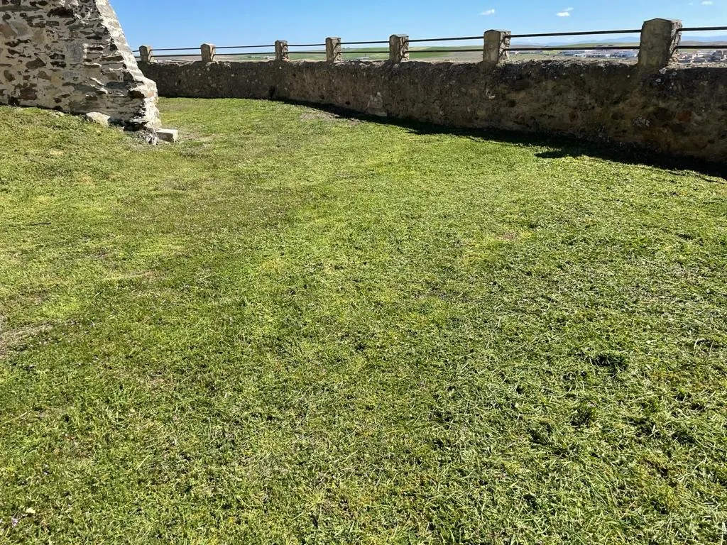 Foto 3 - Trabajos de mantenimiento en jardines y parques de la villa ducal, Torrej&oacute;n y Palomares de Alba  
