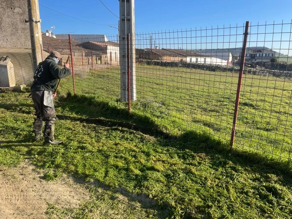 Foto 2 - Trabajos de mantenimiento en jardines y parques de la villa ducal, Torrej&oacute;n y Palomares de Alba  