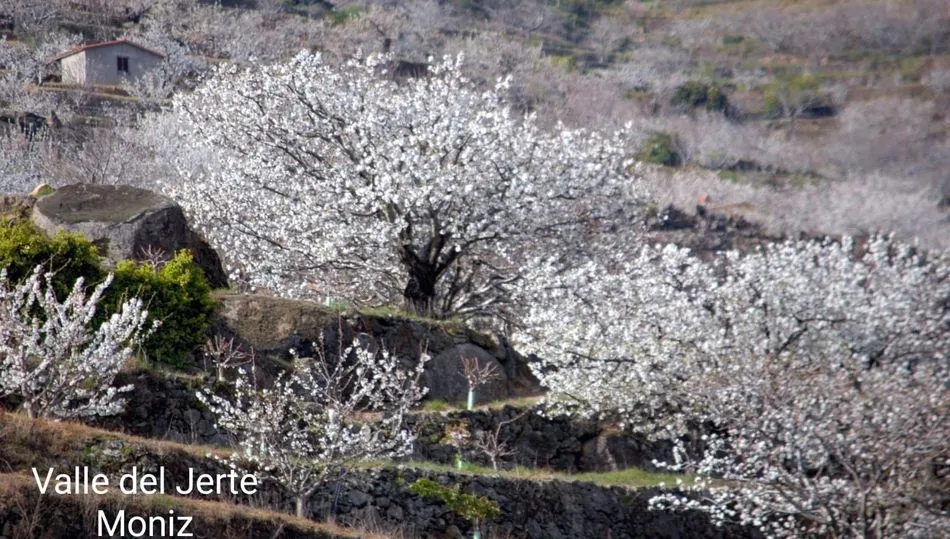 Valle del Jerte / FOTOS MANUEL ÁLVAREZ-MONTESERÍN