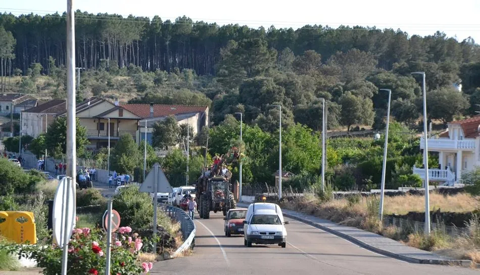 Robleda acogerá una jornada sobre la gestión del pino resinero  