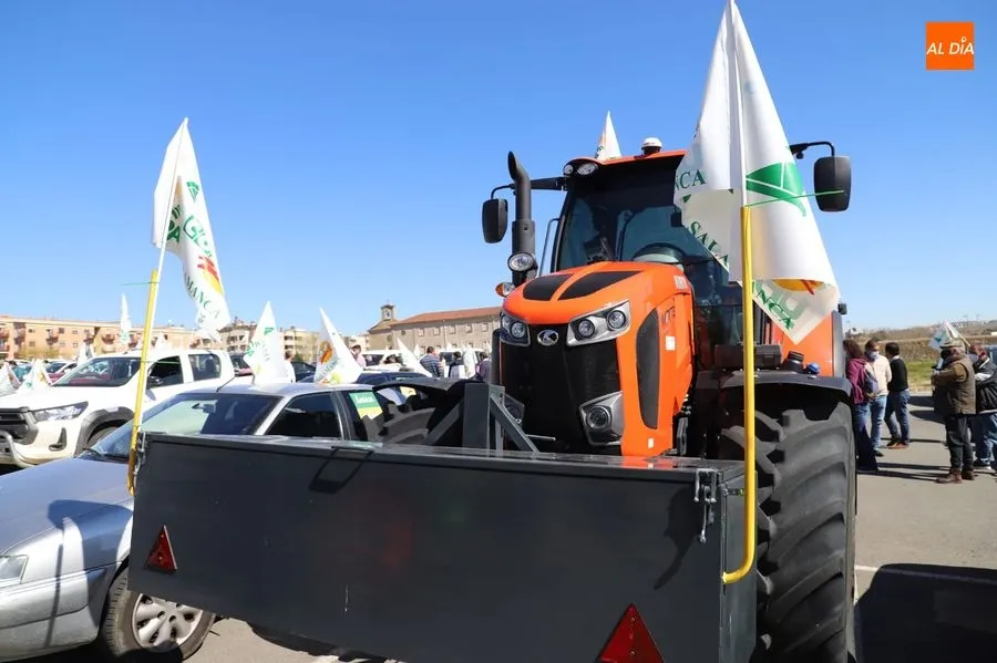 Foto 7 - Multitudinaria caravana de ganaderos salmantinos para protestar por la nueva protecci&oacute;n del lobo