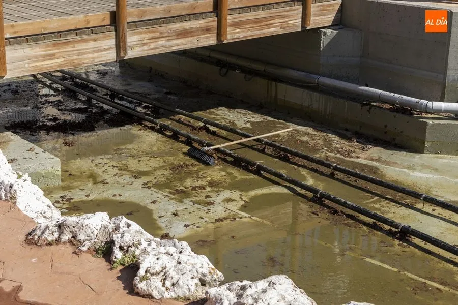 Foto 6 - Vaciado el estanque de la Alamedilla para su limpieza anual
