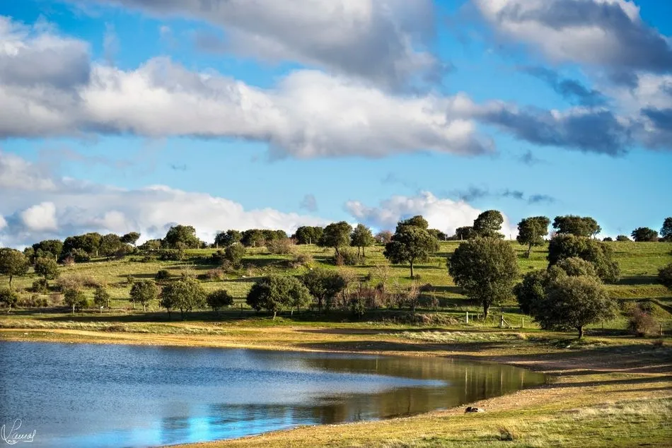 Foto 4 - El embalse de Santa Teresa, en todo su esplendor con la llegada de la primavera  