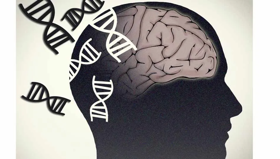 Investigadores españoles descubren un prometedor candidato biomarcador diagnóstico del Parkinson  ...