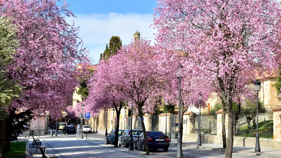 Revolución cromática