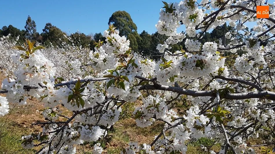 La Aemet augura temperaturas extraordinariamente altas en CyL entre el domingo y el miércoles