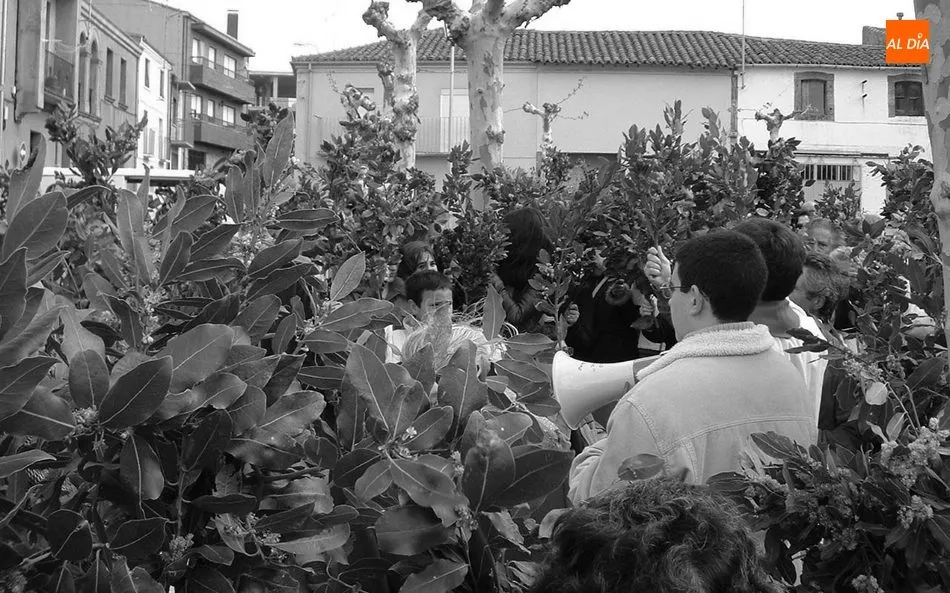 Foto 8 - As&iacute; fue el Domingo de Ramos en Vitigudino en 2003