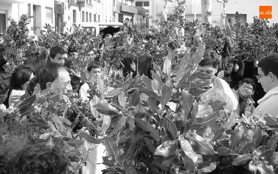 Foto 6 - As&iacute; fue el Domingo de Ramos en Vitigudino en 2003