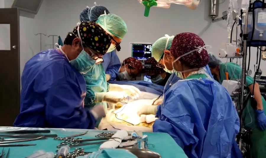 Una de las dificultades ha sido la propia negativa de los pacientes que debían ser trasplantados por miedo -hasta un 35 por ciento-%-.