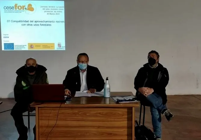 Foto 2 - Robleda analiza los retos de futuro de la gesti&oacute;n del pino resinero  