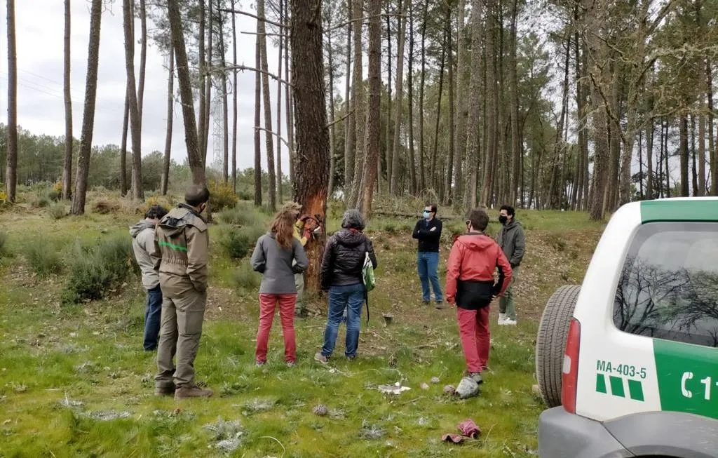 Robleda analiza los retos de futuro de la gestión del pino resinero  
